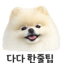 쁘띠 애견 | 은평구 응암동 애견동반 디저트카페｜라 쁘띠자르 테이크아웃 케이크 내돈내산