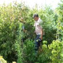 성복농장 이미지