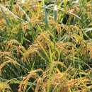 둥지목장 이미지