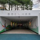 백궁지하보도 티스토리