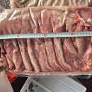 리바쌈 숏컷 삼겹 판매합니다 이미지