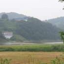 강변장어 이미지