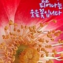 행복415 네이버블로그