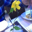 금보수산 네이버블로그