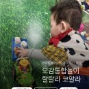 두 손 잡고 랄랄라 | 롯마 영종도점 / 오감통합놀이 랄랄라 코알라 두번째 수업