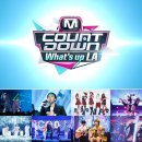 채널엠투어