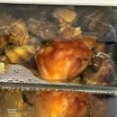 진양자동차공업사 - 강남구 테헤란로77길 16 | 진양자동차공업사