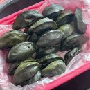 월파농장 | Hajulog11-1