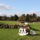 초록빛목장 이미지