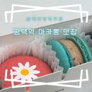 레디앙마카롱 | 평택역 마카롱 내돈내산 맛집 레디앙마카롱
