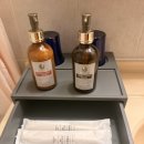 한국바젤요젤클럽 | 클럽메드 이시가키 카비라 이용후기-(251215~18)첫째날part 2