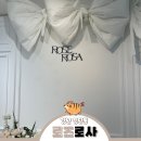 6979 | W14. 로즈로사 청담본점 웨딩촬영 1차 가봉 후기(지정)