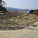 나산면사무소 이미지