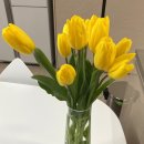 싱싱농장 이미지