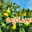 온유농장 이미지