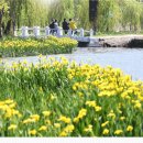 거창-거창-6 이미지