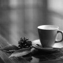 정화여인숙 이미지