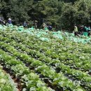 평창계촌마을 연합뉴스