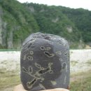 사랑새 이미지