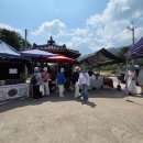 토크&향기마을 | 고성 라벤더 축제 하늬라벤더팜(동해 무릉별유천지 비교) | 비 오는 날 주차장·요금·개화상황·기념품샵