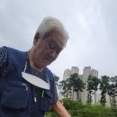 태호네농장 이미지