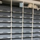 염색공간 이미지