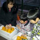 태호농장 이미지