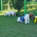 놀멍쉬멍고르멍 이미지