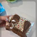 라이덴샤펜 티스토리