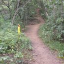 광산구-017 Daum카페