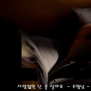 사랑없인 난 못 살아요 . 조영남 - (동영상 편집) 이미지