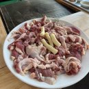 아리온모텔 | 이제는 사막을 헤매이지 않으리