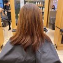 １２０프로쿨 네이버블로그