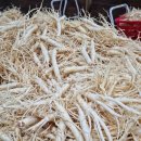 금산인삼 이미지