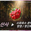 녹지약국 이미지