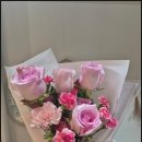 레플레르 이미지