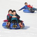 송어축제 이미지