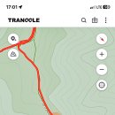 초례산 숲속 힐링로드 이미지