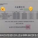 농업회사법인(주)대통 네이버블로그