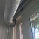 삼성장미 이미지