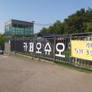 카페오슈오