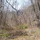 영우농장 이미지