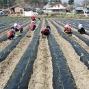 미암1리 이미지