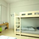 완도네시아 이미지