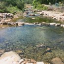 중앙탑펜션 이미지