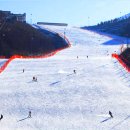 오투리조트