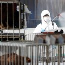 중수농장 이미지