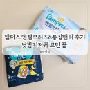 엔젤 소프트 | 팸퍼스 통잠팬티 5단계 팸퍼스 엔젤브리즈 팬티 5단계 사용 후기 낮밤기저귀 추천