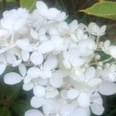 대성임업 - 삼척시 | 대성임업