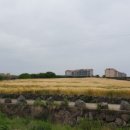 이호1820게스트하우스 이미지